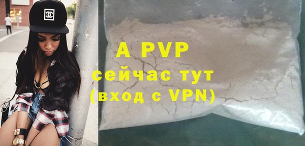 стаф Абаза